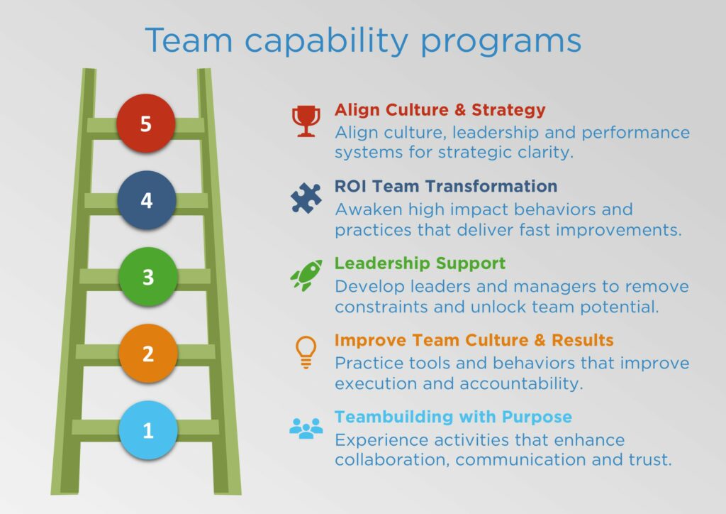 Capability program book